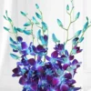 Blue orchid and asparagus flower arrangement in tuxedo-themed “Best Papa Ever” vase for Father’s Day gift