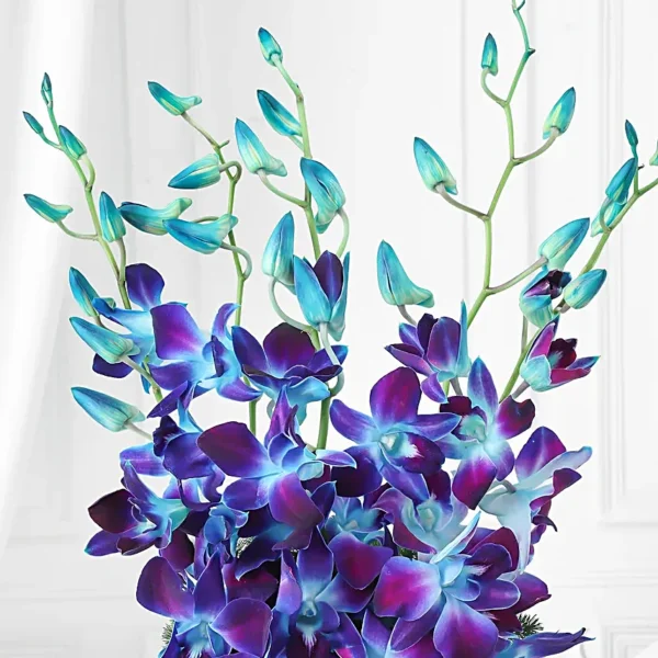 Blue orchid and asparagus flower arrangement in tuxedo-themed “Best Papa Ever” vase for Father’s Day gift